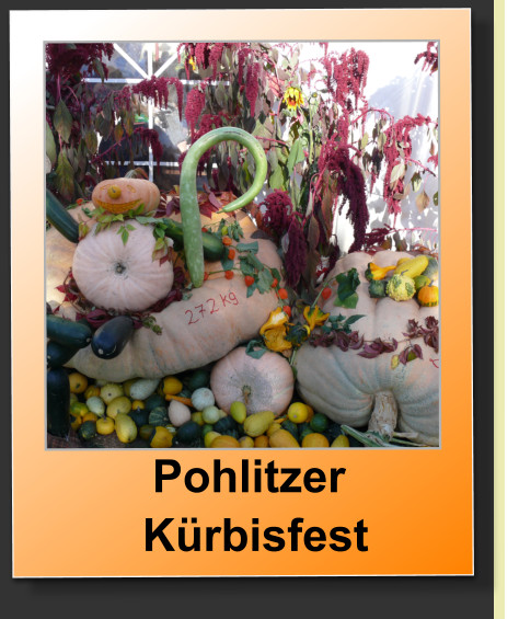Pohlitzer   Kürbisfest