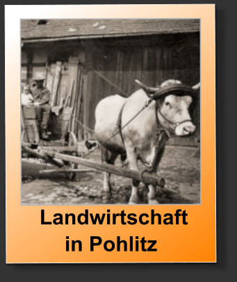 Landwirtschaft  in Pohlitz