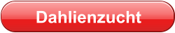 Dahlienzucht