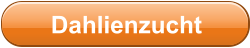Dahlienzucht