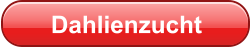 Dahlienzucht