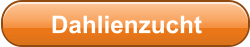 Dahlienzucht