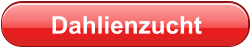 Dahlienzucht