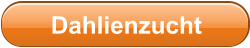 Dahlienzucht