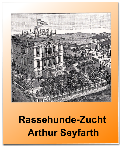 Rassehunde-Zucht   Arthur Seyfarth