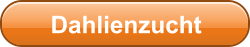 Dahlienzucht